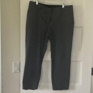 Ann Taylor Navy and White Polka Dot ankle pants